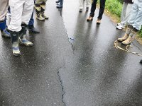 IMG (20)